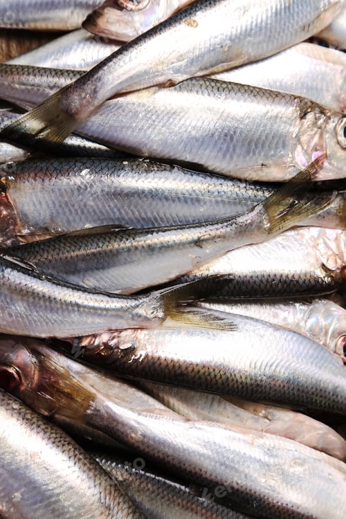 Preview: Delicious fish