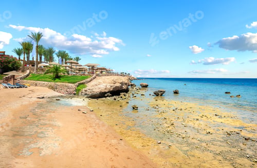 Preview: Coral reefs on beach