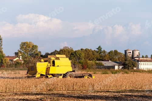 Preview: Harvesting of soybean field with combine harvester.