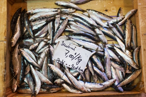 Preview: A display of fresh fish on ice on a market stall.