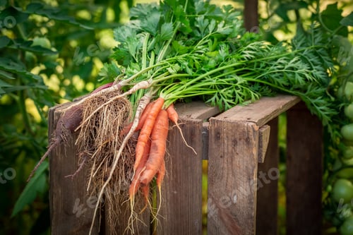 Preview: Various of vegetables on old wooden box
