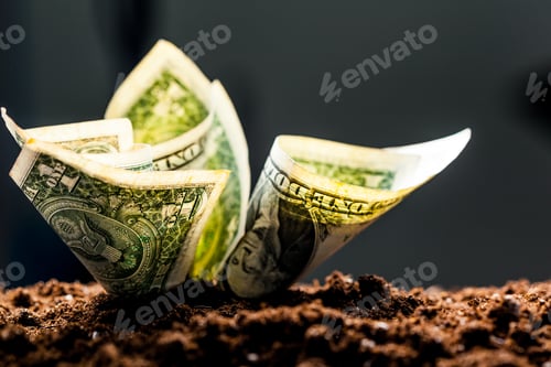 Preview: American dollars grow from the ground
