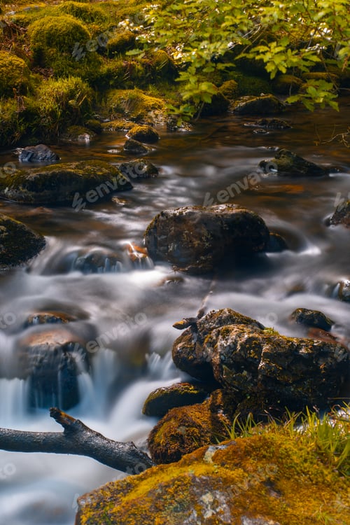 Preview: Vertical shot of a beautiful river with many rocks in Dublin, Republic of Ireland