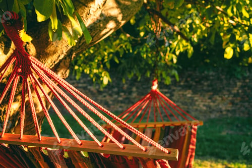 Preview: Hammock in the tree garden