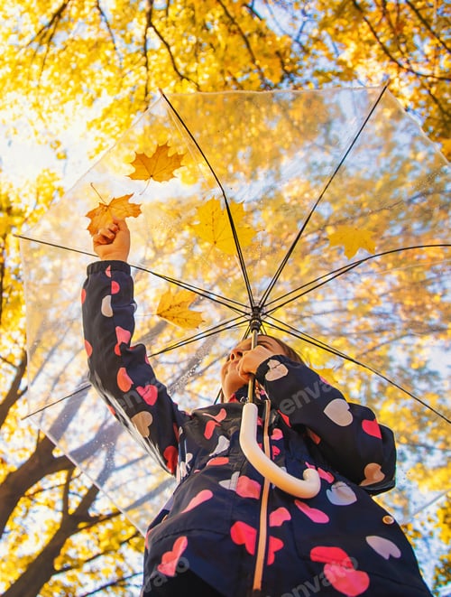 Preview: Autumn child in the park with yellow leaves. Selective focus.