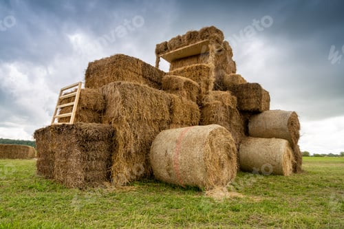 Preview: tractor from straw bales in the field