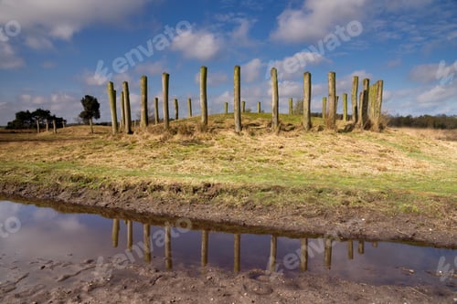 Preview: Tomb Hill Regte Heide