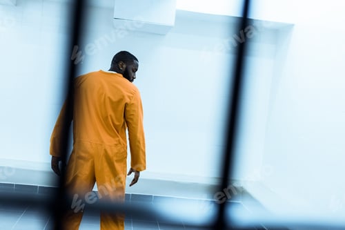 Preview: back view of african american prisoner in prison cell