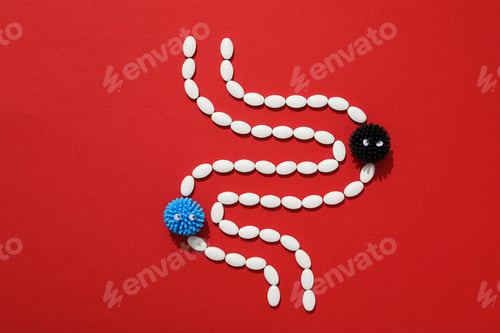 Preview: Concept of health care, stomach and intestinal problems