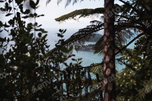 Preview: Small islands in tropics