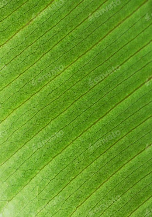 Preview: Macro leaf texture with selective focus. Vertical wallpaper