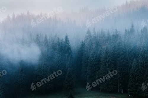 Preview: Foggy morning in the mountains.
