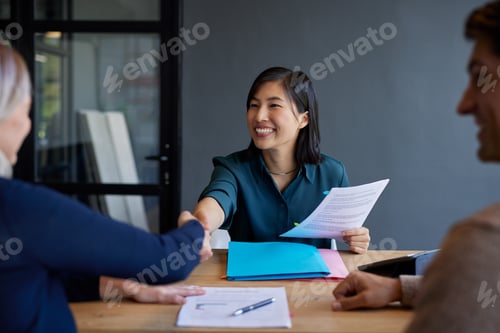 Preview: Businesswoman shaking hand after meeting