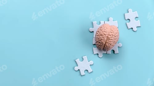 Preview: Human Brain Model on Scattered Jigsaw Puzzle Pieces