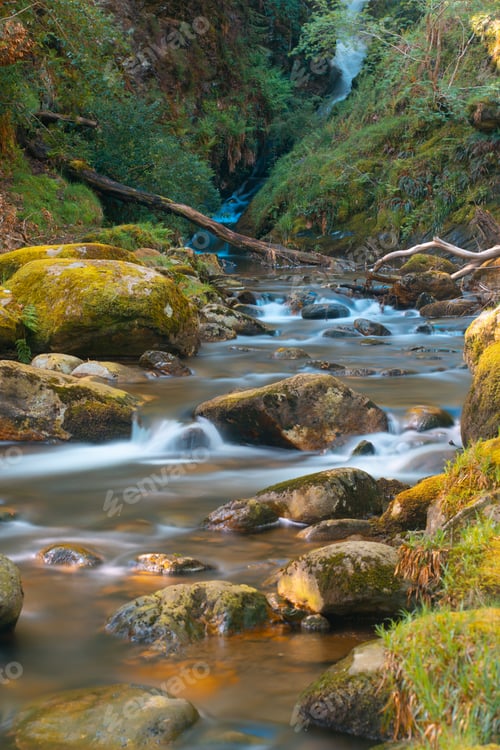 Preview: Vertical shot of a beautiful river with many rocks in Dublin, Republic of Ireland