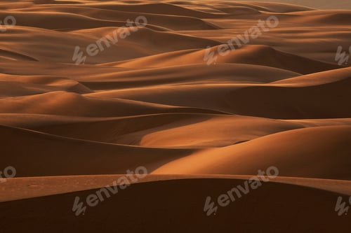 Preview: Late afternoon light on the sand dunes stretching the entire length of Namibia's coast in a band up