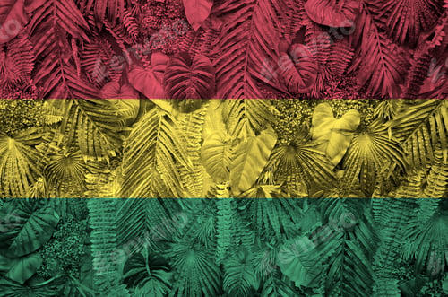 Preview: Bolivia flag depicted on many leafs of monstera palm trees. Trendy fashionable background