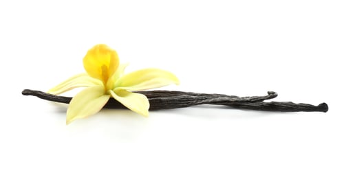 Preview: Aromatic vanilla sticks and flower on white background