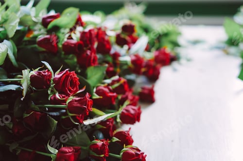 Preview: fresh cut red roses lie on the table