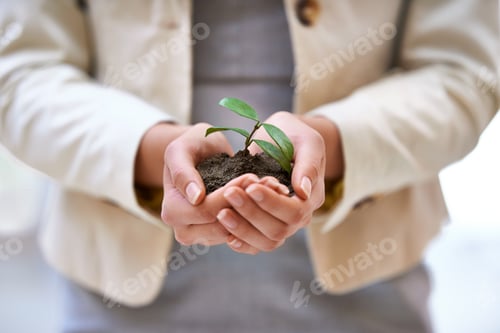 Preview: It takes time to build a business