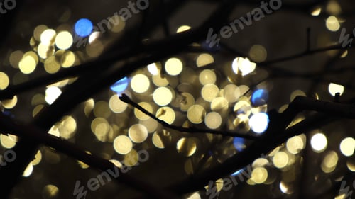 Preview: Close-up of tree's branches in the dark with blurred Christmas yellow lights on the background