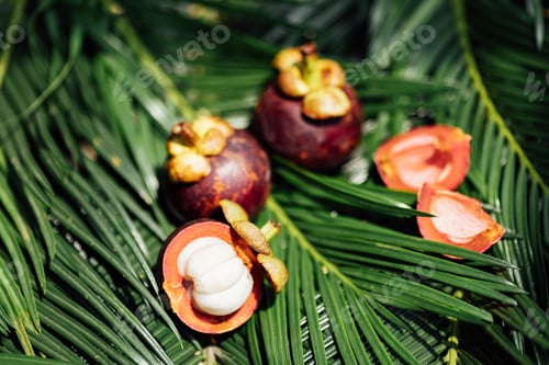 Preview: Fresh exotic fruits on green tropical palm leaves background. Sliced mangosteen. flat lay, overhead