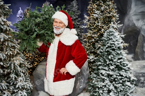 Preview: Santa Claus joyfully carries festive greenery among snowy trees during the holiday season