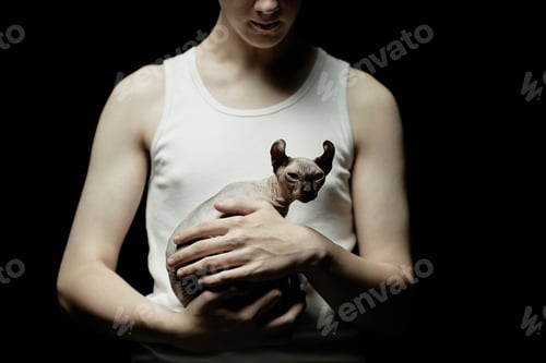 Preview: Hairless Elf Cat in Hands of Man Squinting Eyes in Contrast Light in Studio