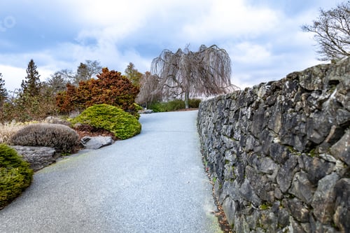 Preview: A stone pathway in Queen Elizabeth park in Vancouver, BC
