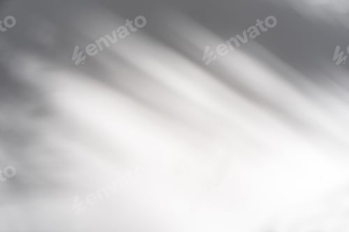 Preview: Shadow of palm leave on white background and textured