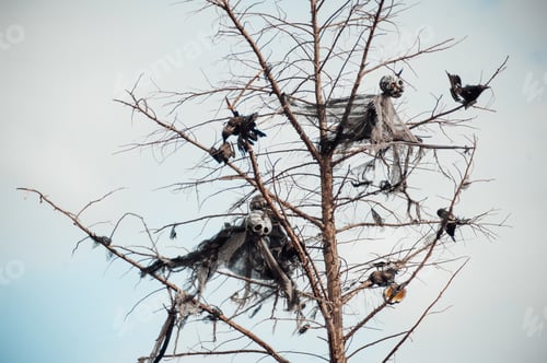 Preview: Halloween ghosts decoration hanging with spiders on dry tree branches against blue sky