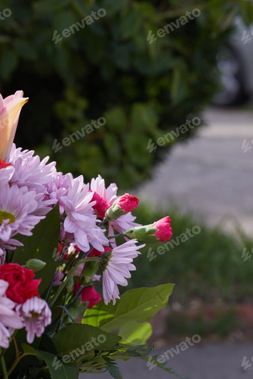 Preview: What photo of bunch of purple and red flowers