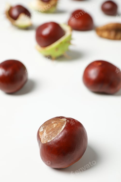 Preview: Chestnuts in shell and without on a white background
