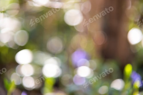 Preview: Abstract pastel green bokeh with light circles of defocused blur.