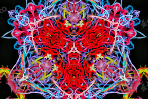 Preview: Abstract pattern of multicolored threads on a black background
