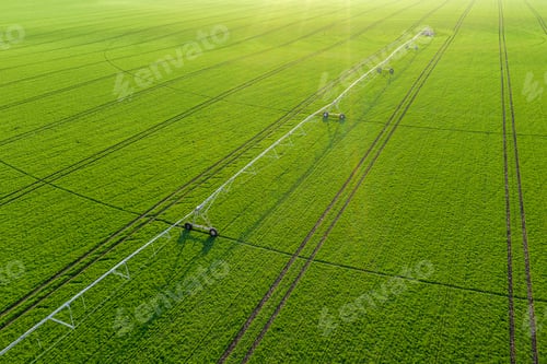 Preview: Aerial view of center-pivot irrigation sprinkler in wheat field