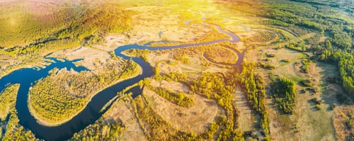 Preview: Aerial View Green Forest Woods And River Landscape In Sunny Summer