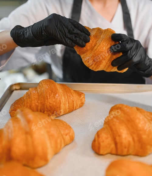 Preview: Baker wearing black gloves arranging freshly baked croissants on tray
