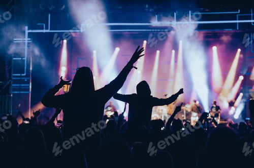 Preview: Concert crowd on a music concert