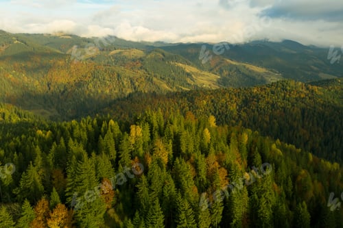 Preview: Aerial view of beautiful mountain landscape with forest on sunny day