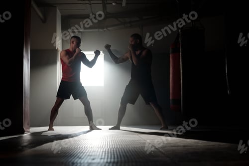 Preview: Forcing practice of two male boxers