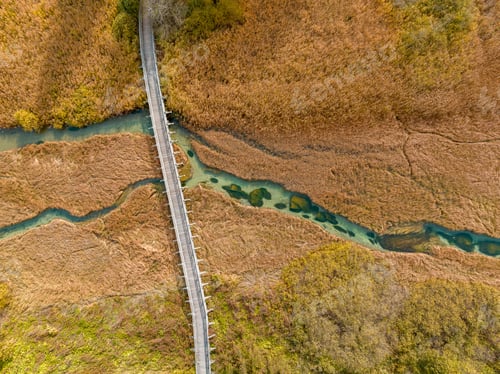 Preview: Autumn landscape