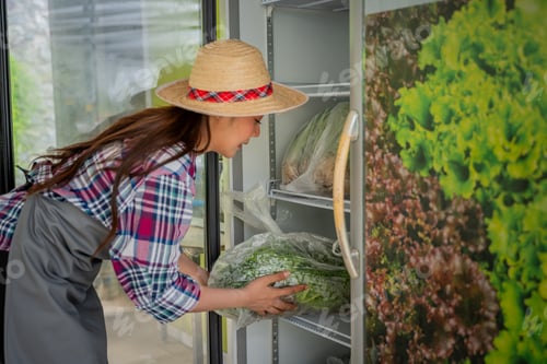 Preview: Woman placing fresh vegetables into refrigerator agriculture and food supply chains