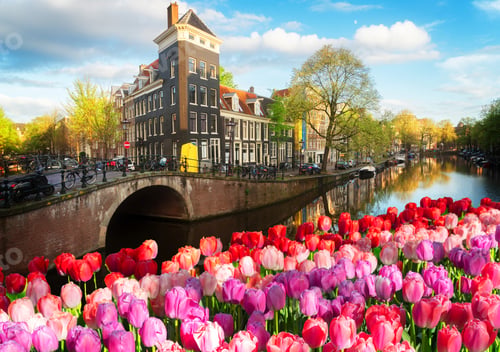 Preview: Houses of Amstardam, Netherlands