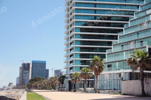 Preview: Cityscape with modern buildings and palm trees