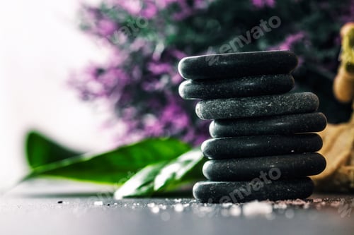 Visualização: Ambiente de spa