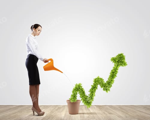 Preview: Young Attractive Businesswoman Watering Plant In Pot With Can