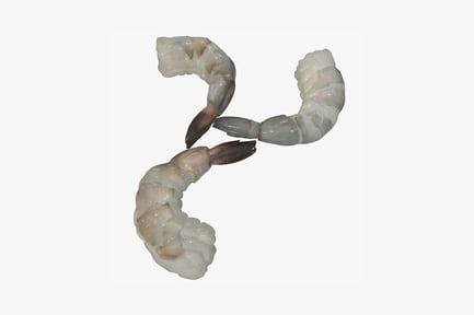 Preview: Paired smooth white shrimp