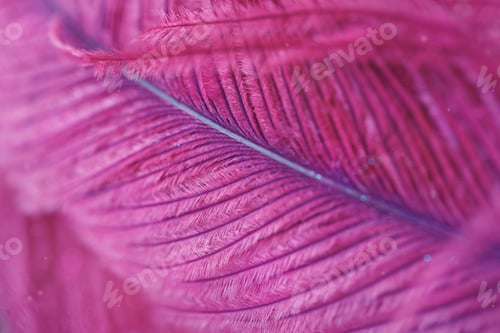 Preview: Beautiful Abstract Background with Purple Feather