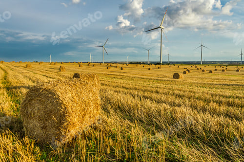 Preview: Windmill on the field in summer